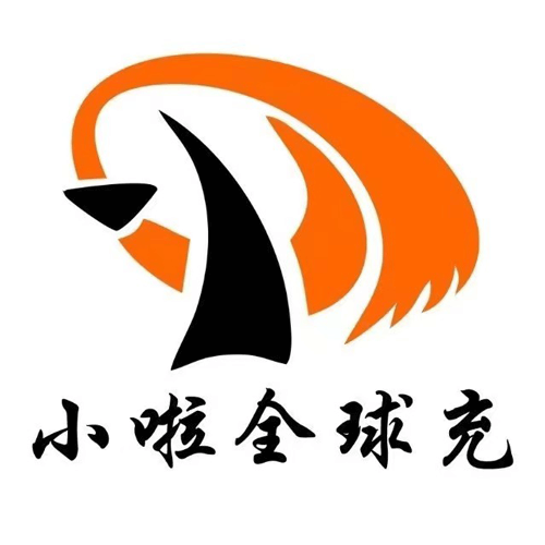 小啦全球充品牌介绍