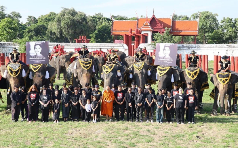 感人一幕！泰国九头大象跪拜诗丽吉王太后遗像，默哀93秒