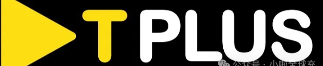 小额几块钱可以给 T-Plus 保号充值吗？