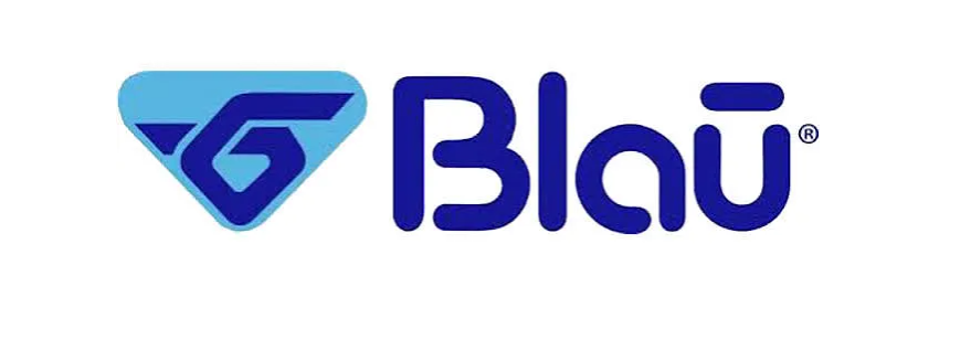 Blau 实名过期更新后充值才能正常续期号码吗