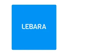 德国Lebara怎么查看自己的手机号？