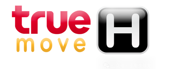 2026年TrueMove H使用指南：高效上网方法