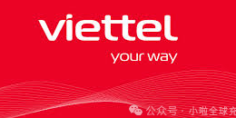 越南 Viettel 充值失败常见原因汇总