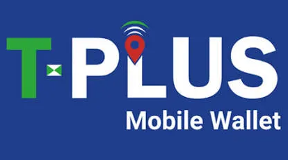 长期回国不用 T-Plus，不线上续费也不会注销？